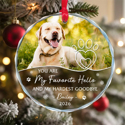 My Favorite Hello My Hardest Goodbye Pawdog Snowflake, Memorial Pattern, Holiday Keepsake, Custom Remembrance Names, Tree Decor, Pet Memorial Keepsake Circle Glass Ornament