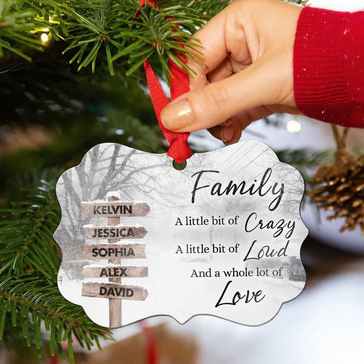 Family Little Bit Crazy, Little Bit Of Loud And Whole Lot Of Love Wooden Street Sign With Names Winter Christmas Ornament