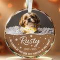 No Longer By Our Side But Forever In Our Heart Glass Circle Ornament, Personalized Pet Memorial Ornament With Photo, Gifts For Loss Of Dog, Tree Decor Christmas Keepsake, Pet Loss Gifts