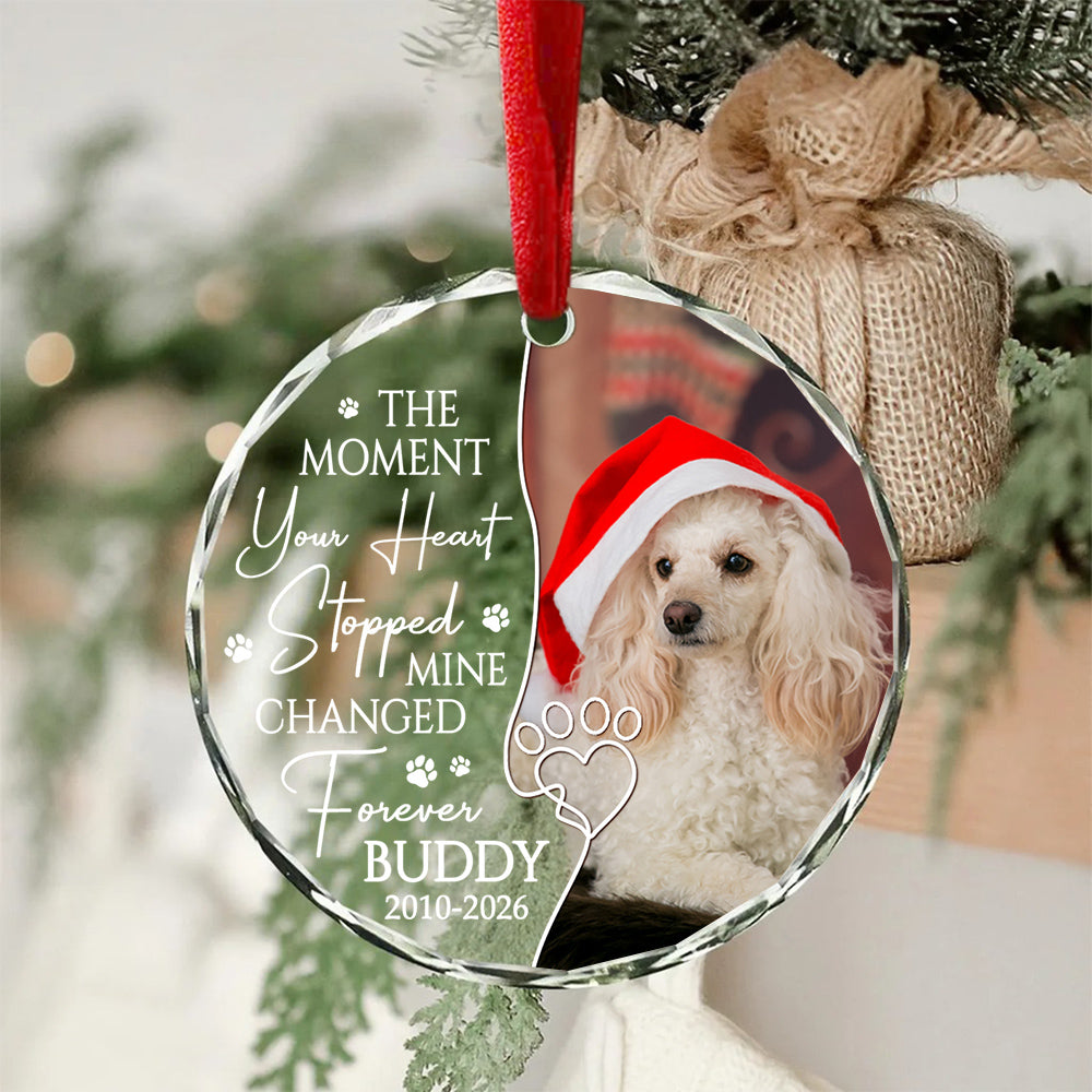The Moment Your Heart Stopped Mine Changed Forever, Dog Memorial Glass Ornament, Custom Photo Pet Loss Remembrance Keepsake, Memorial Item For Dogs, Gifts For Loss Of Dog, Tree Decor