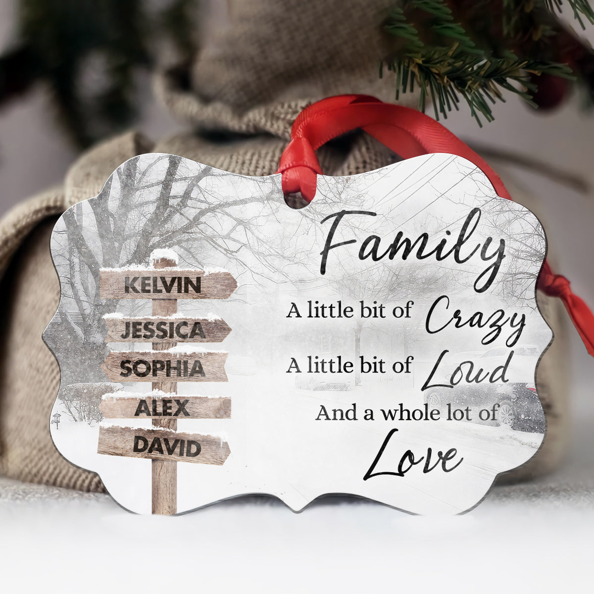 Family Little Bit Crazy, Little Bit Of Loud And Whole Lot Of Love Wooden Street Sign With Names Winter Christmas Ornament