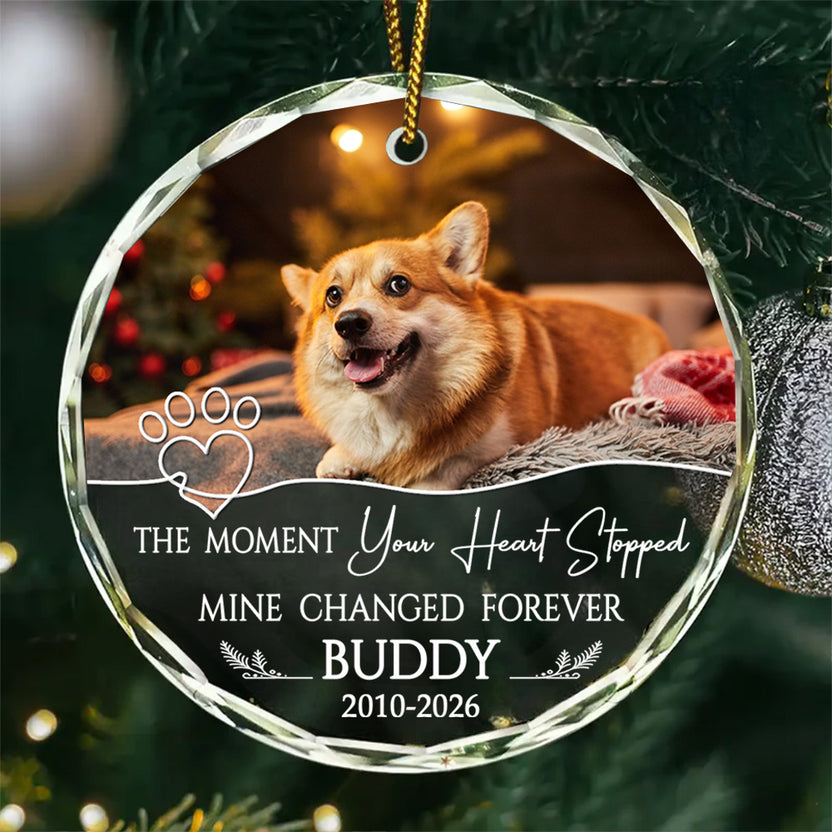 The Moment Your Heart Stopped Mine Changed Forever, Dog Loss Sympathy Glass Ornament, Puppy Memorial Holiday Decor, Sympathy Art, Memorial Keepsake, Gifts For Loss Of Dog, Tree Hanging