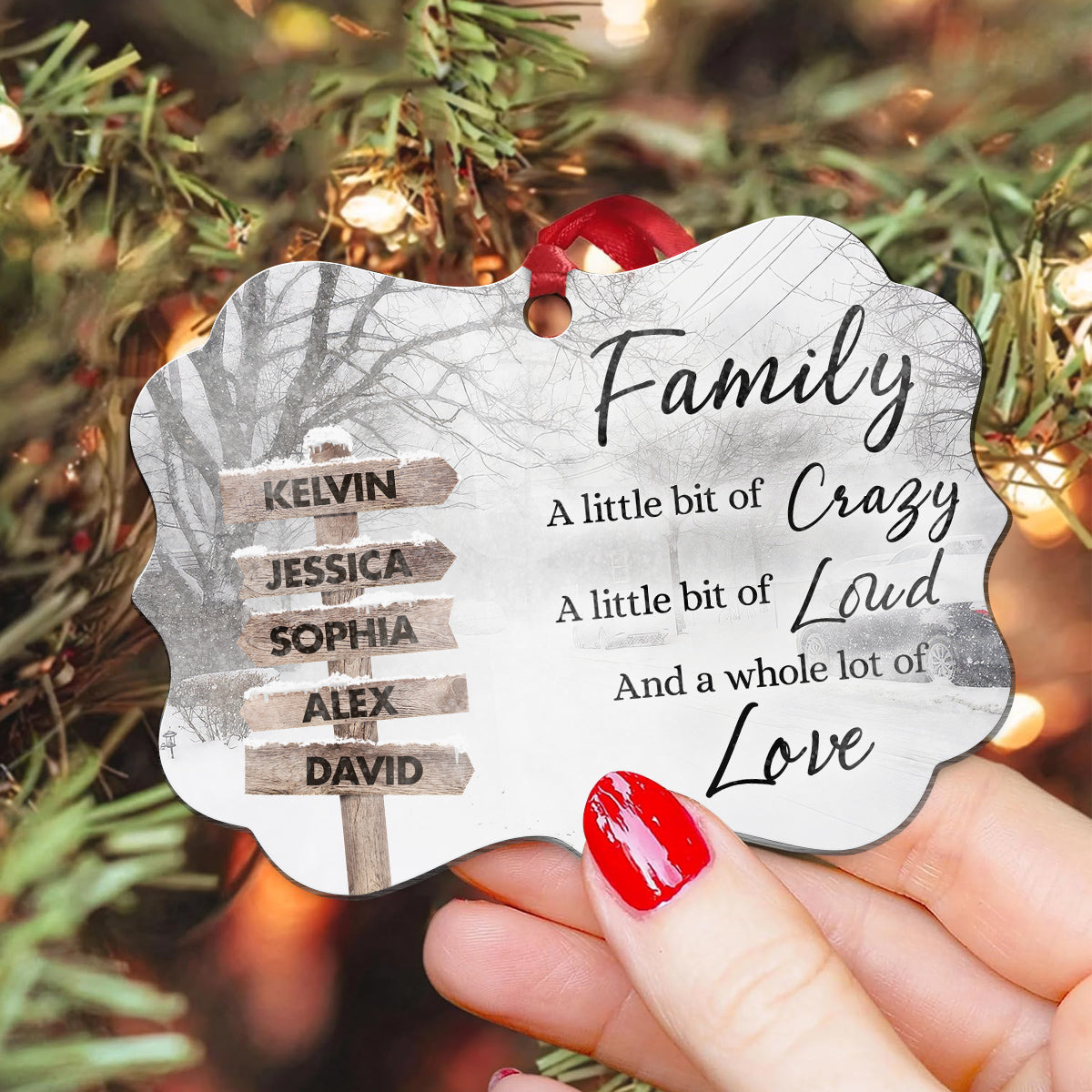 Family Little Bit Crazy, Little Bit Of Loud And Whole Lot Of Love Wooden Street Sign With Names Winter Christmas Ornament