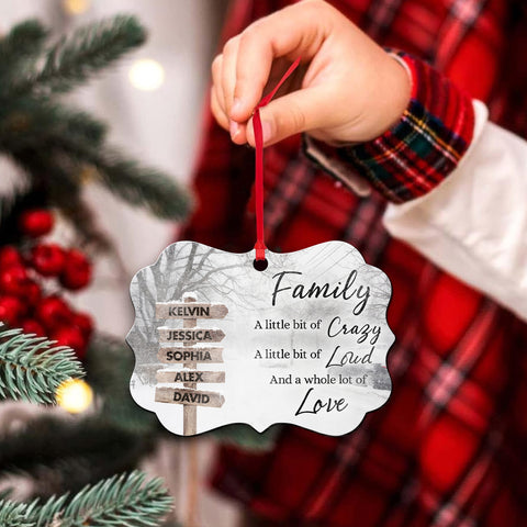 Family Little Bit Crazy, Little Bit Of Loud And Whole Lot Of Love Wooden Street Sign With Names Winter Christmas Ornament