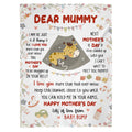 Mom To Be Gifts, I Can't Wait To Meet You 1st Mothers Day Baby Giraffe Sleeping In Mommy's Belly  Blanket, Gifts For New Mom