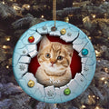 Fluffy Cat Christmas Ornament 3d Break Through Circle Circle Ceramic/ Plastic Design, Custom Name Pet Decoration, Holiday Keepsake Gifts, Personalized Christmas Ornament, Gifts For Cat