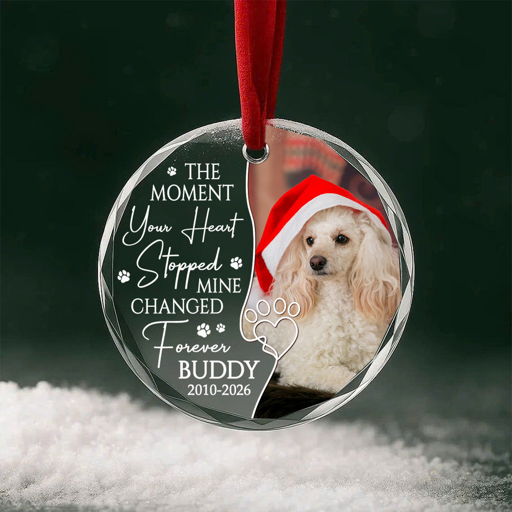 The Moment Your Heart Stopped Mine Changed Forever, Dog Memorial Glass Ornament, Custom Photo Pet Loss Remembrance Keepsake, Memorial Item For Dogs, Gifts For Loss Of Dog, Tree Decor