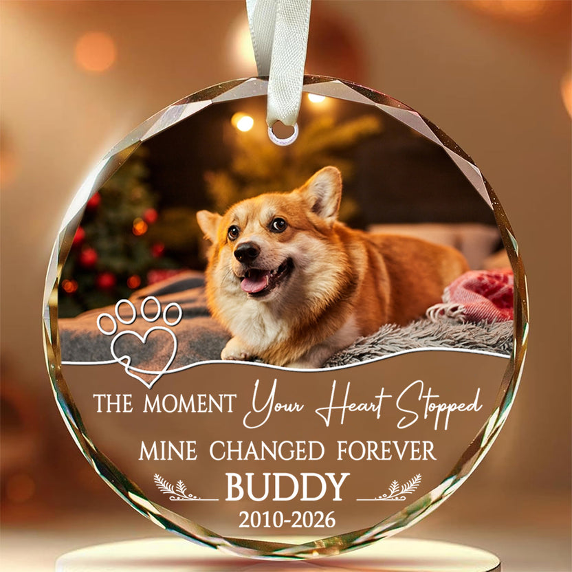 The Moment Your Heart Stopped Mine Changed Forever, Dog Loss Sympathy Glass Ornament, Puppy Memorial Holiday Decor, Sympathy Art, Memorial Keepsake, Gifts For Loss Of Dog, Tree Hanging
