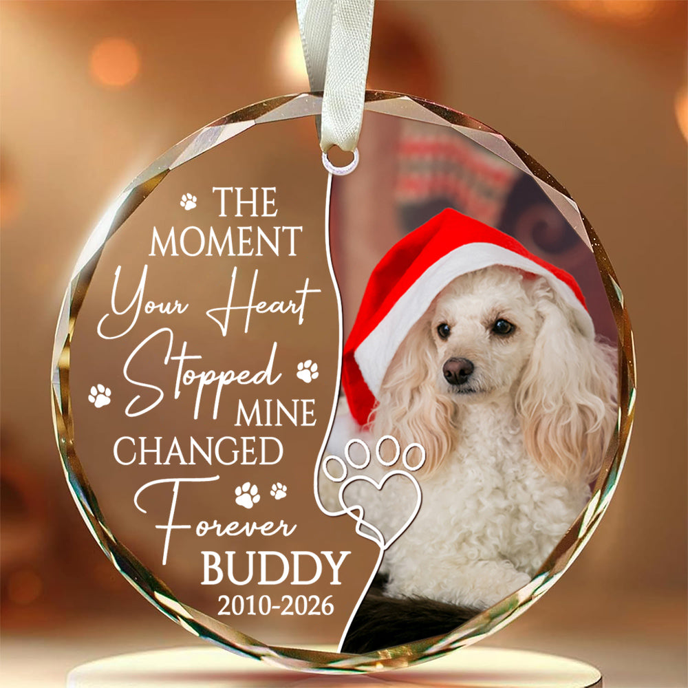 The Moment Your Heart Stopped Mine Changed Forever, Dog Memorial Glass Ornament, Custom Photo Pet Loss Remembrance Keepsake, Memorial Item For Dogs, Gifts For Loss Of Dog, Tree Decor