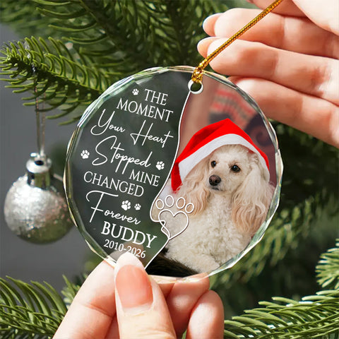 The Moment Your Heart Stopped Mine Changed Forever, Dog Memorial Glass Ornament, Custom Photo Pet Loss Remembrance Keepsake, Memorial Item For Dogs, Gifts For Loss Of Dog, Tree Decor