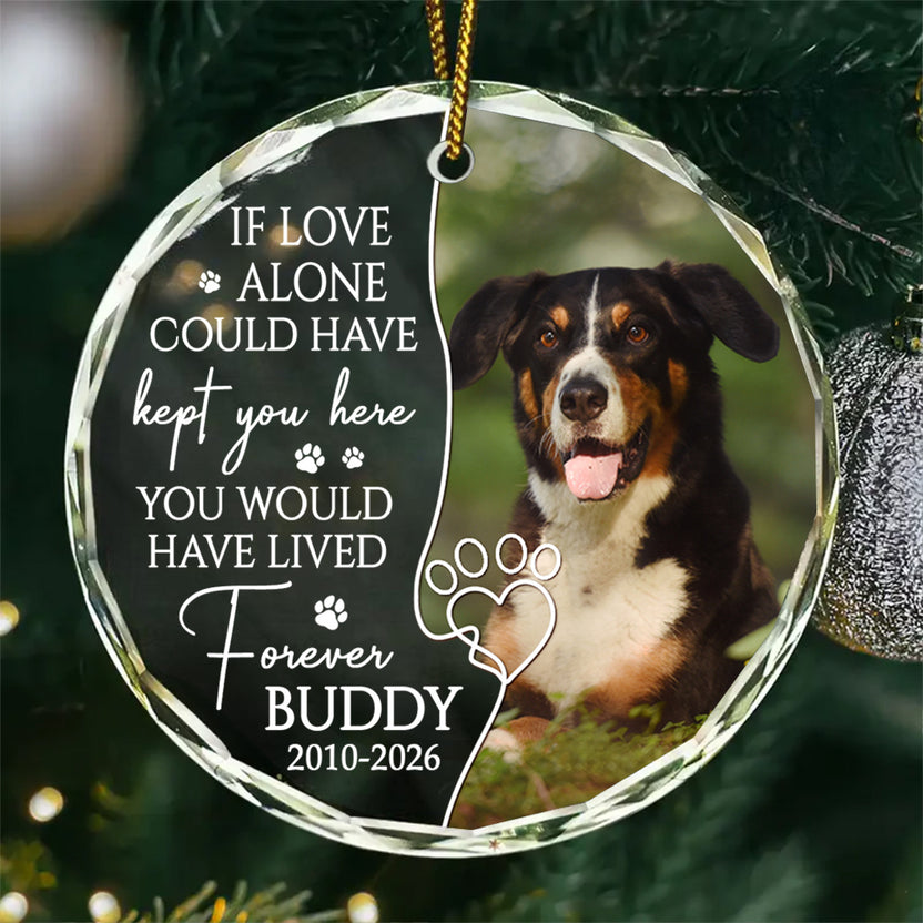 If Love Alone Could Have Kept You Here, Custom Memorial Tree Decor, Pet Glass Ornament, Pet Loss Remembrance Keepsake, Remembrance Holiday Ornament, Gifts For Loss Of Dog, Tree Decor