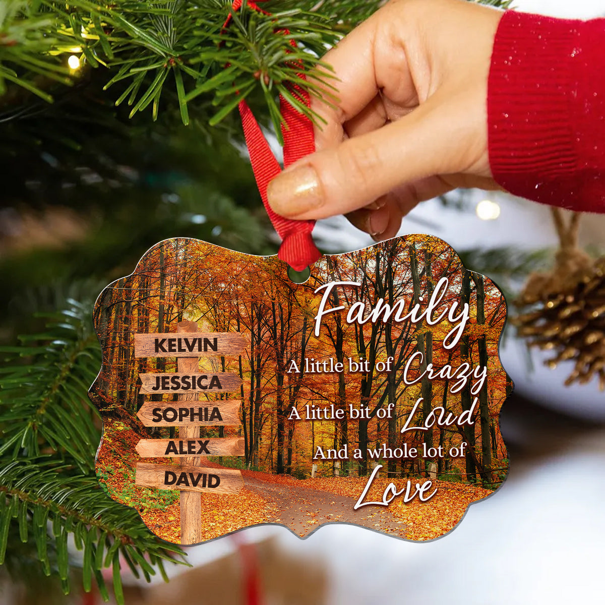 Family Little Bit Crazy, Little Bit Of Loud And Whole Lot Of Love Wooden Street Sign With Names Autumn Leaves Road Ornament