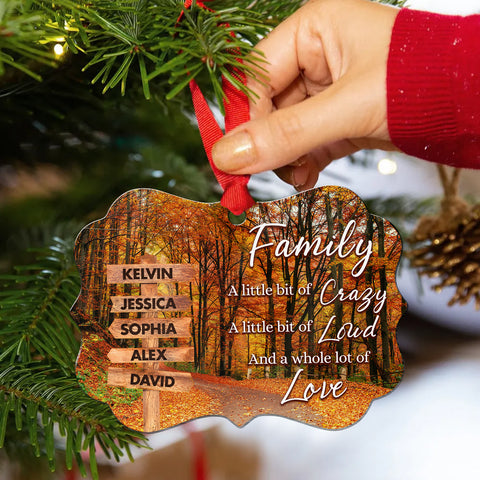 Family Little Bit Crazy, Little Bit Of Loud And Whole Lot Of Love Wooden Street Sign With Names Autumn Leaves Road Ornament