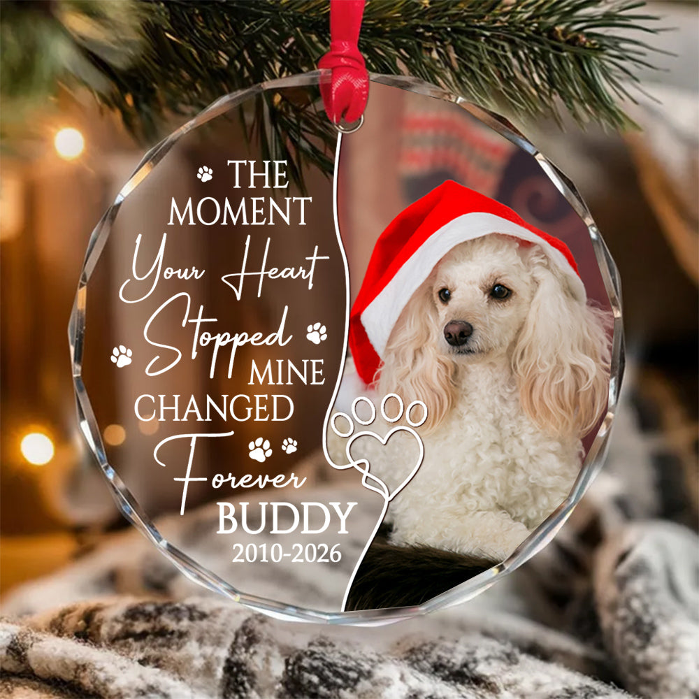 The Moment Your Heart Stopped Mine Changed Forever, Dog Memorial Glass Ornament, Custom Photo Pet Loss Remembrance Keepsake, Memorial Item For Dogs, Gifts For Loss Of Dog, Tree Decor