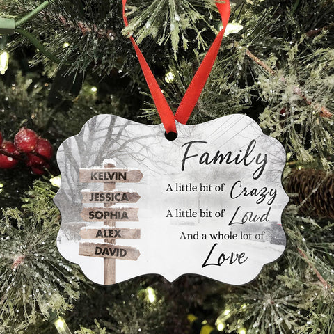 Family Little Bit Crazy, Little Bit Of Loud And Whole Lot Of Love Wooden Street Sign With Names Winter Christmas Ornament