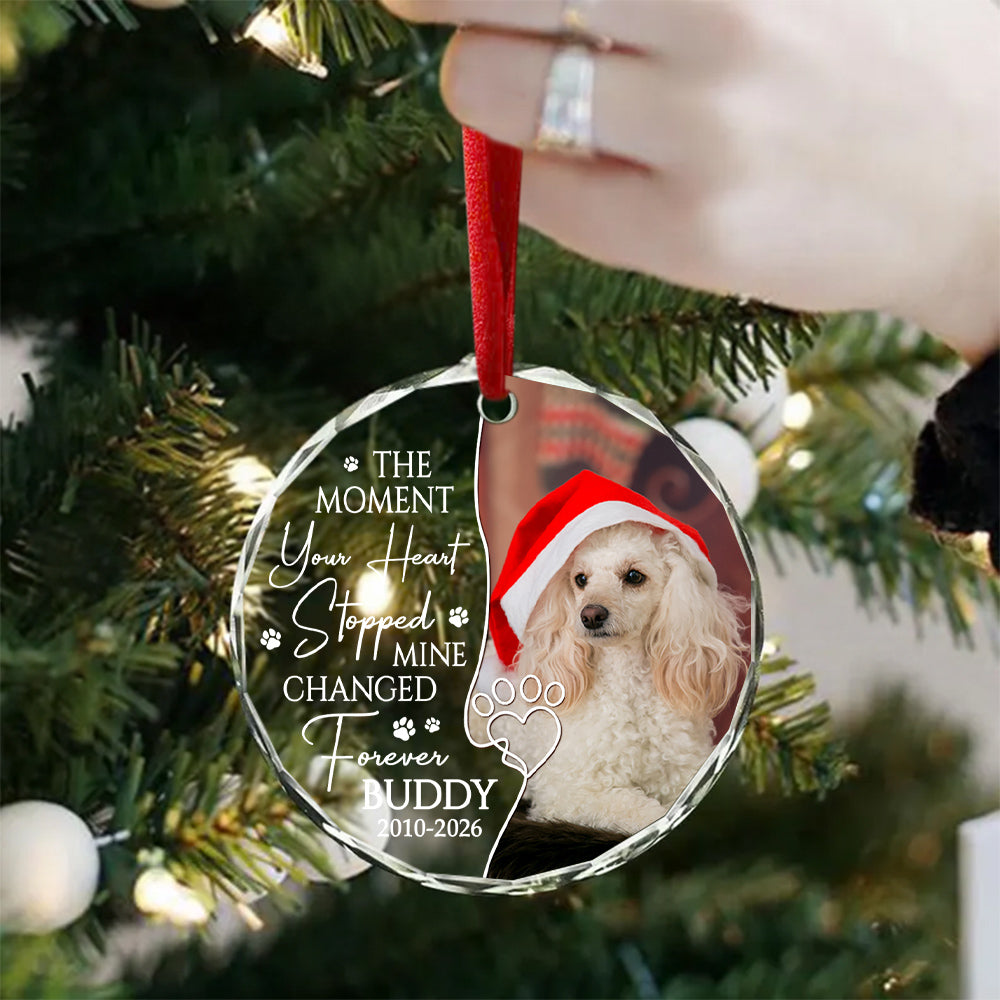 The Moment Your Heart Stopped Mine Changed Forever, Dog Memorial Glass Ornament, Custom Photo Pet Loss Remembrance Keepsake, Memorial Item For Dogs, Gifts For Loss Of Dog, Tree Decor